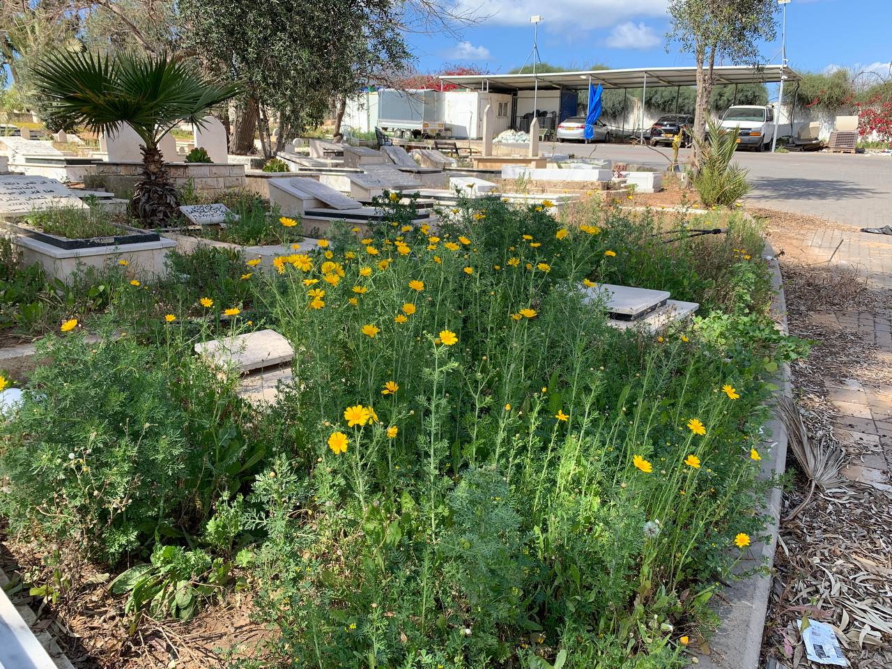 photo1678276195 (5).jpeg